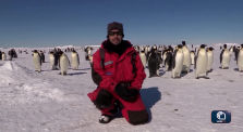 Il Mare alla fine della terra - La ricerca italiana in Antartide by tulli_tv