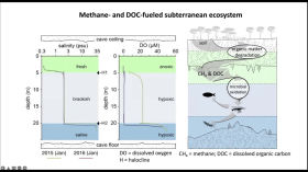 IRSA :: Hydrologic controls of carbon cycling and methane turnover in tropical coastal karst aquifers by I seminari dell'IRSA
